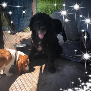 Meet your Posher, Alison